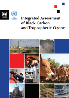 Integrated Assessment of Black Carbon and Tropospheric Ozone