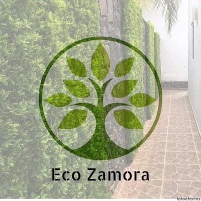 Eco Zamora