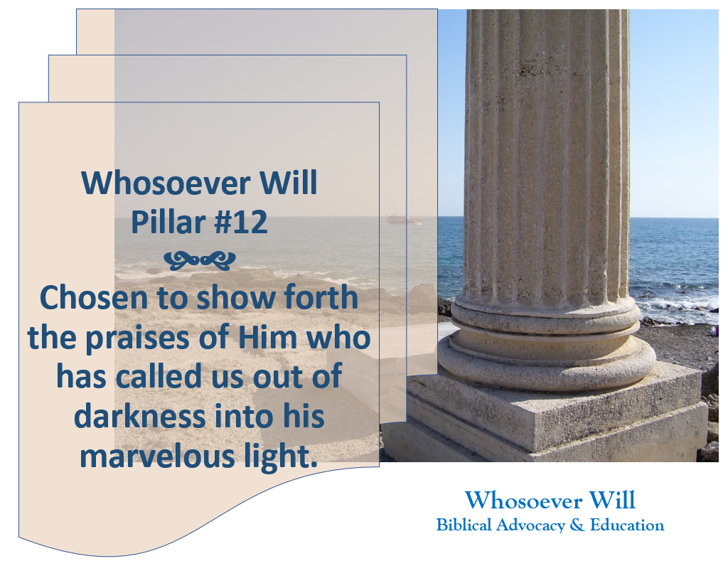 Pillar #12 - Chosen to show forth the praises of Him who has called us out of darkness into his marvelous light.