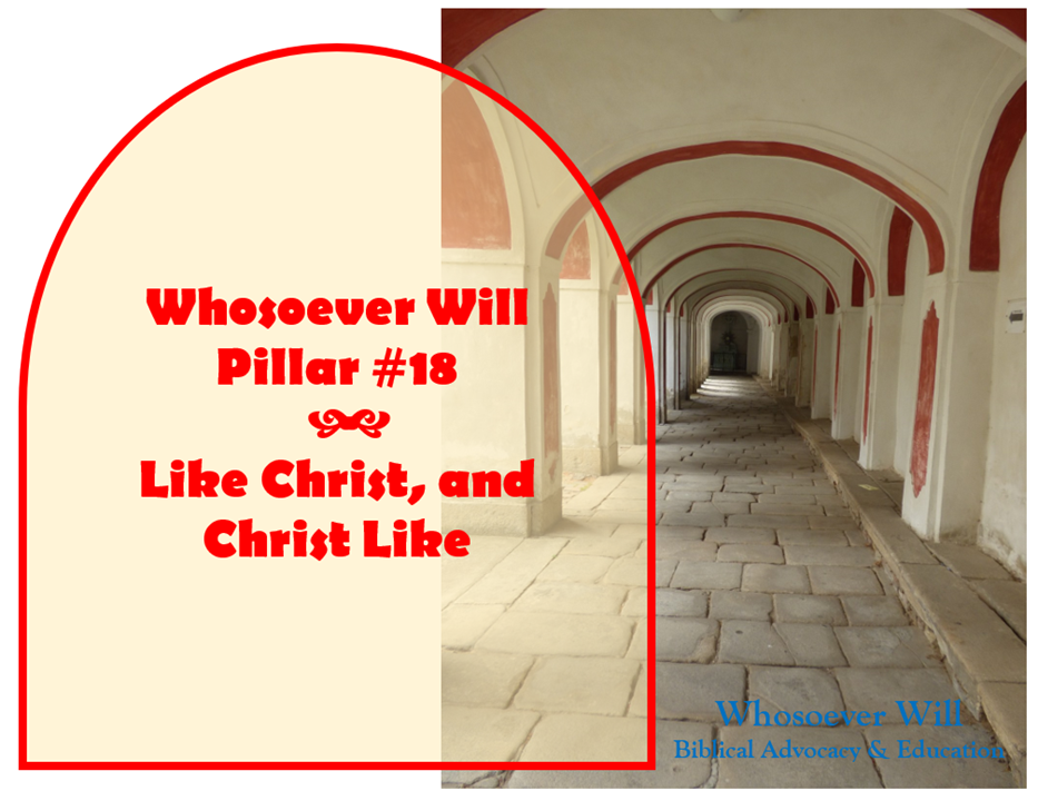 WsW Pillar #18 - Like Christ, and Christ like