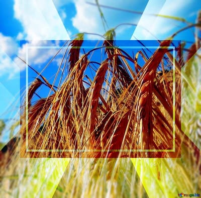 What is Whosoever Will?