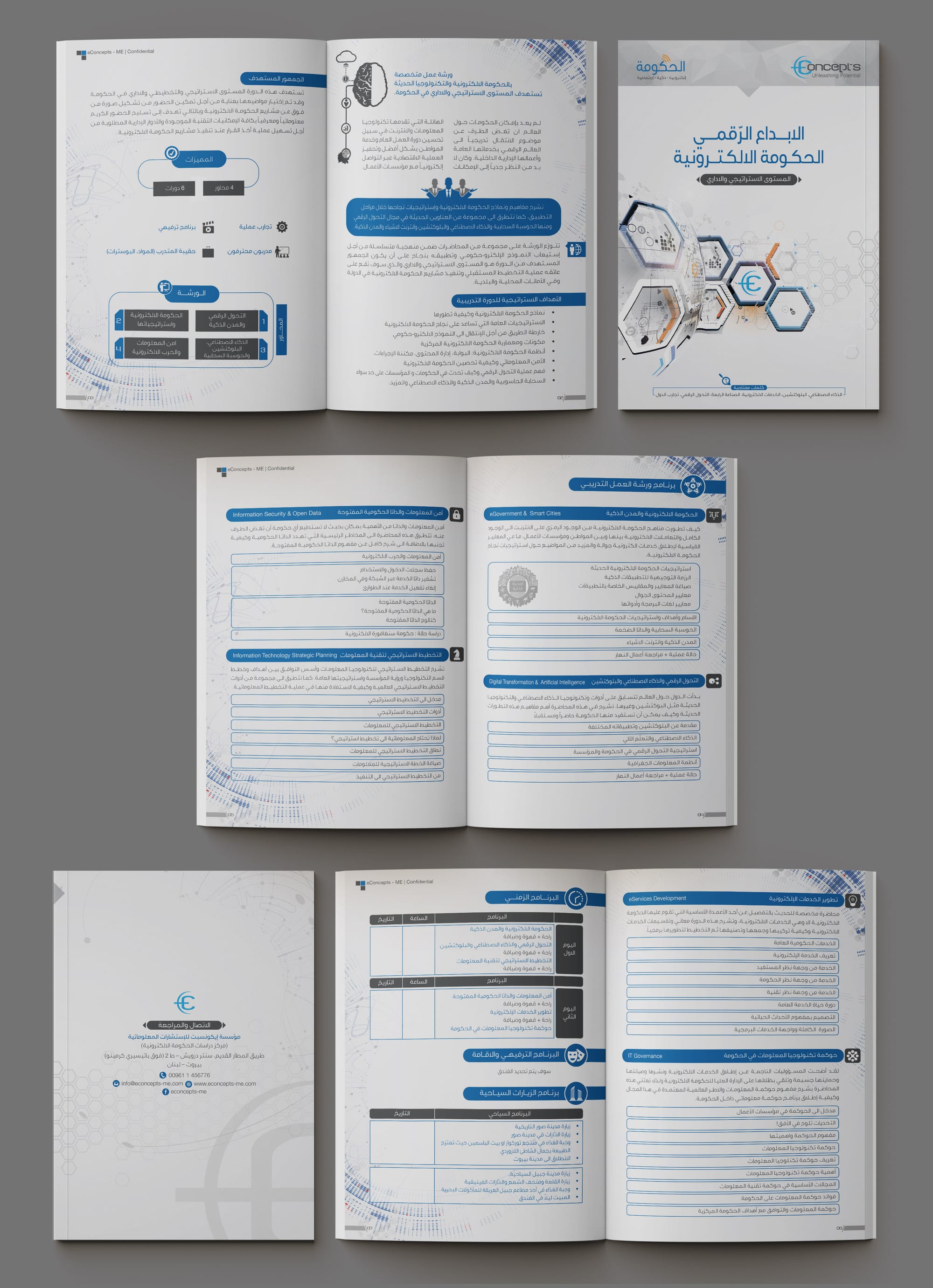 Econcepts Brochure
