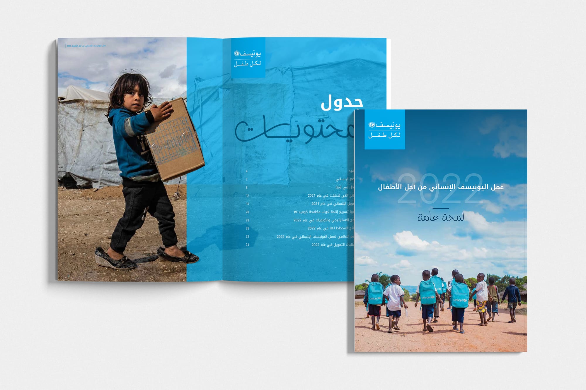 UNICEF Brochure 2022