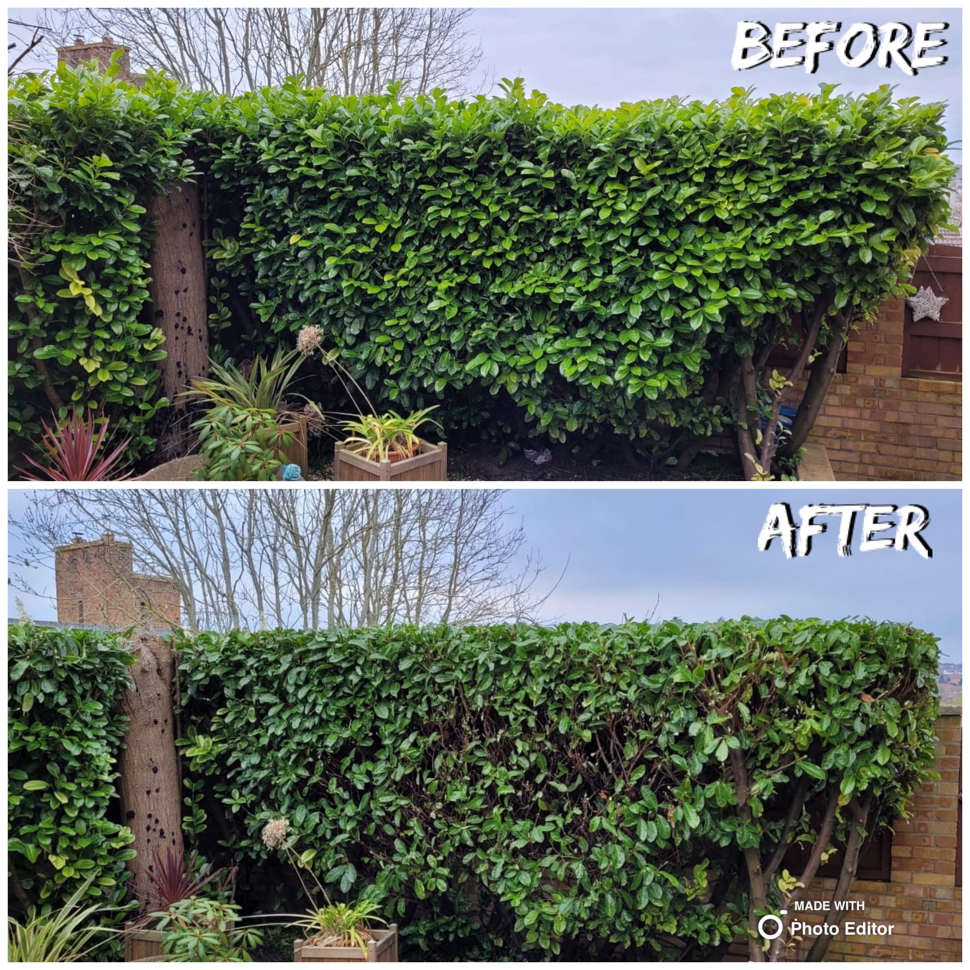 Hedge Cutting