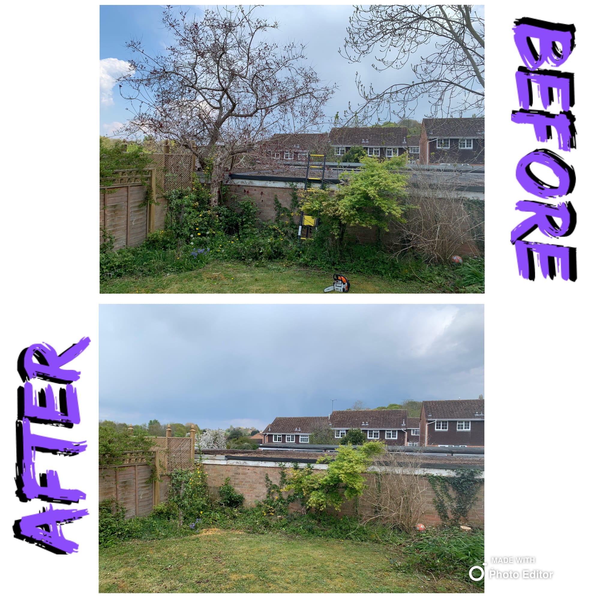 Tree removal