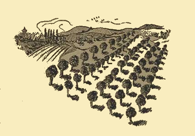 Początek opowieści „Trzy podróże Herschela”