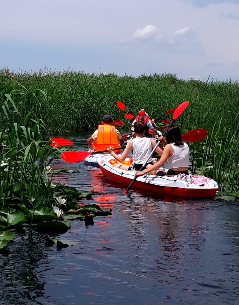 Vara în Caiace & Stand Up Paddle & Terapie cu nuferi pe lacul Somova