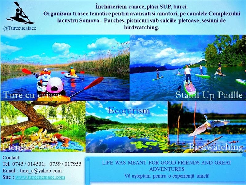 Plimbările în natură cu caiacul - sănătate pentru trup și suflet,