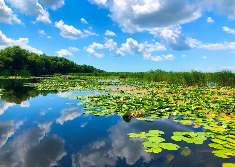 Ture cu caiace,  modul nostru de a împărți fericirea...