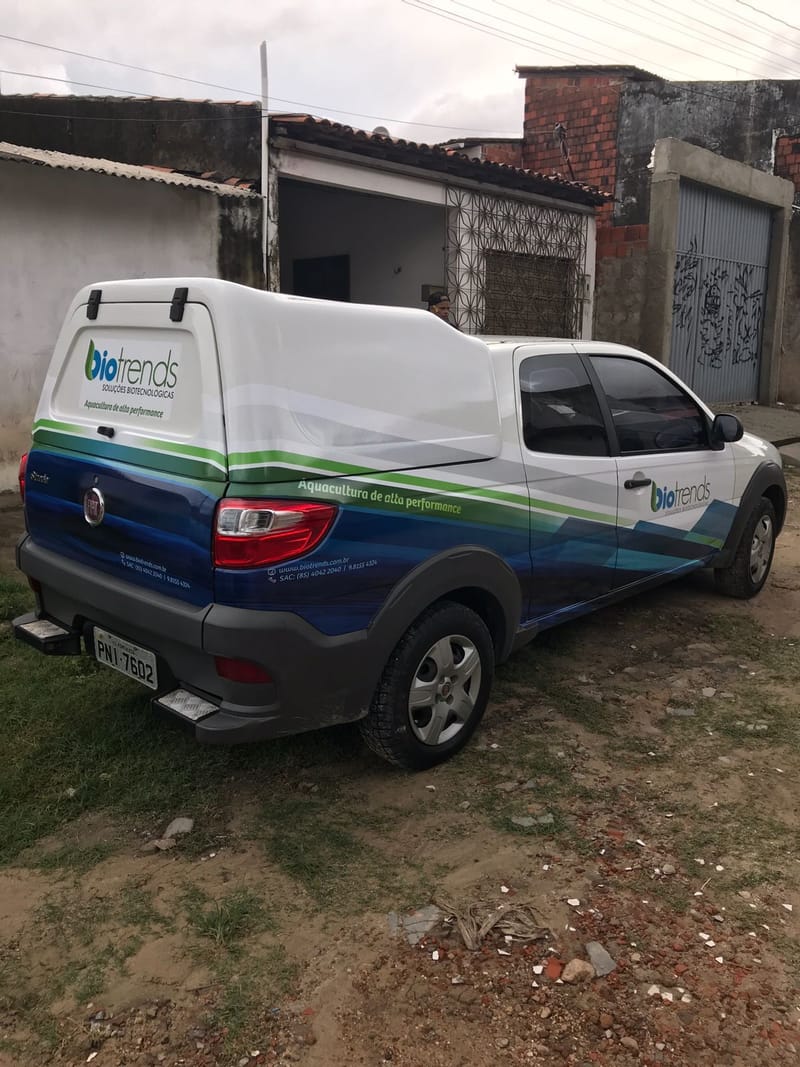 ADESIVAÇÃO EM GERAL 