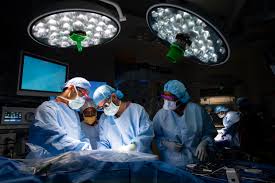 SAVE A LIFE TODAY BY DONATING ONE KIDNEY image