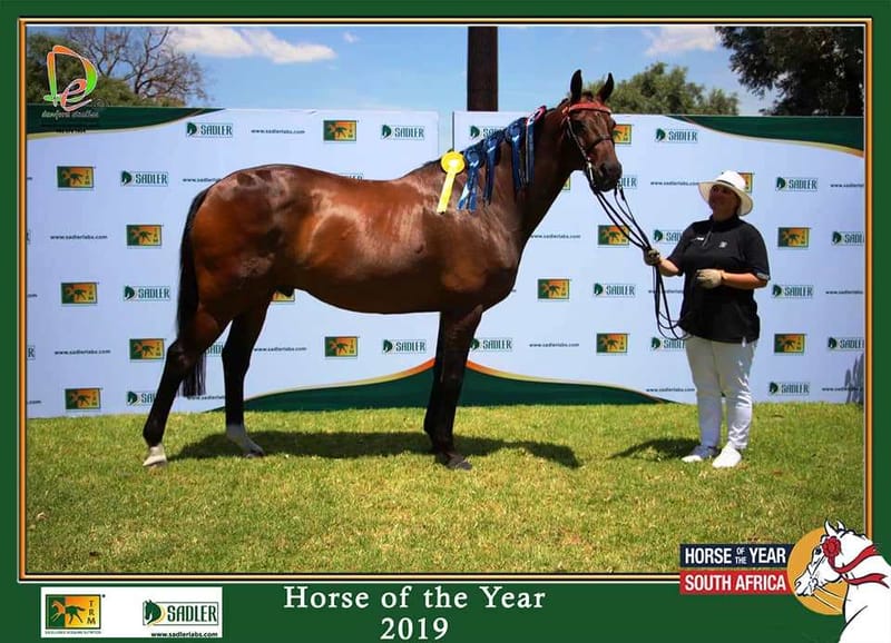 Equestrian Training Port Elizabeth