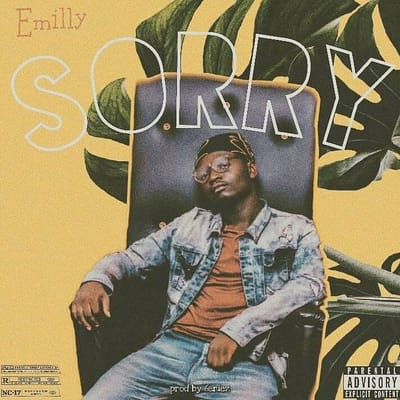 IEMILI- SORRY by 6ERIES mp3