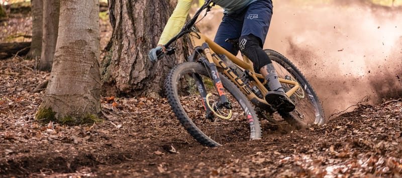 Bikehash #142 (Jogybear)