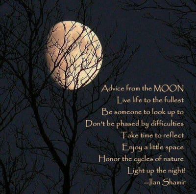 Moon Calendar/wisdom image