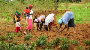 Agropreneurship