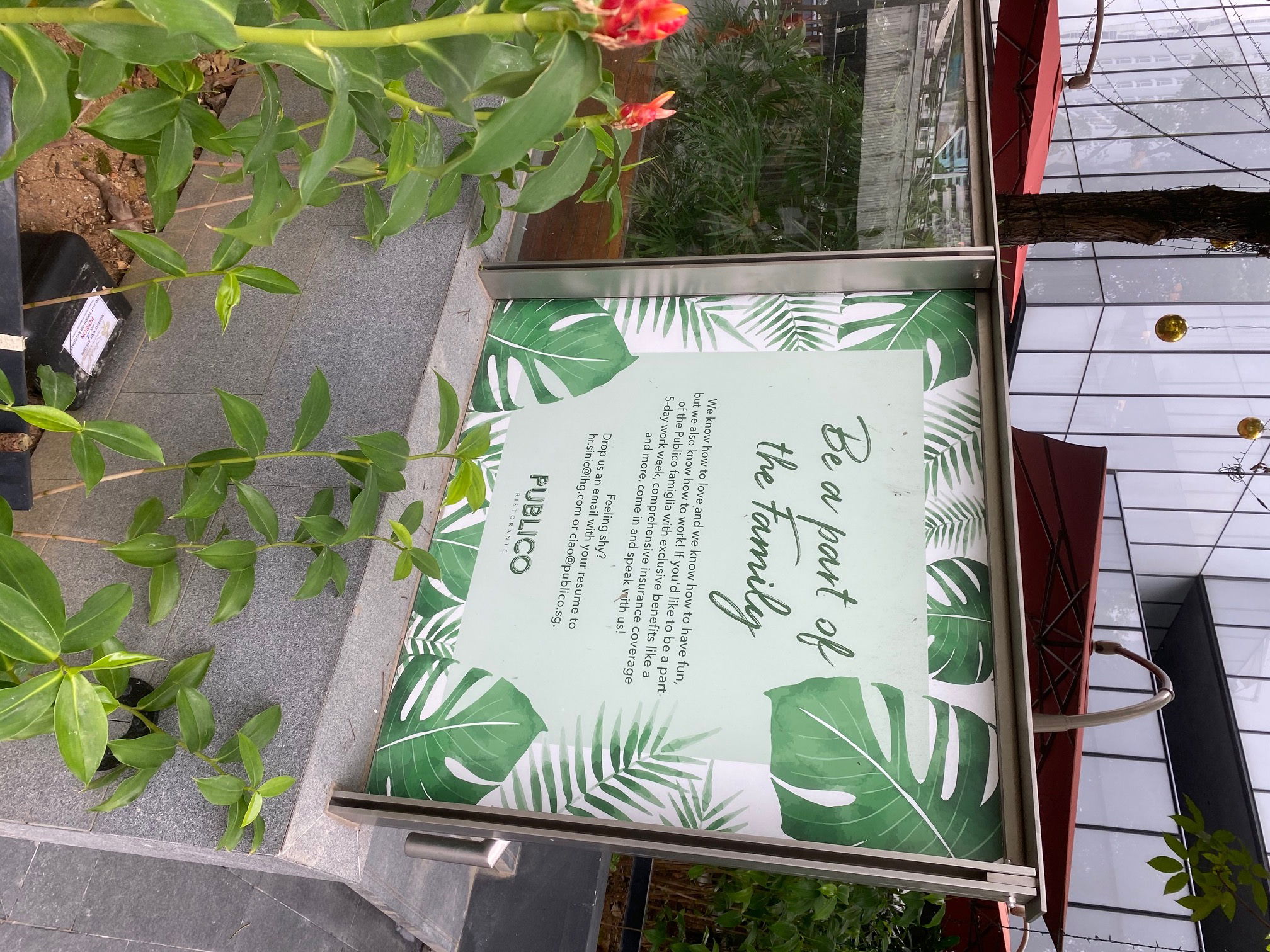 Apéro im Garten des Restaurant "Publico"