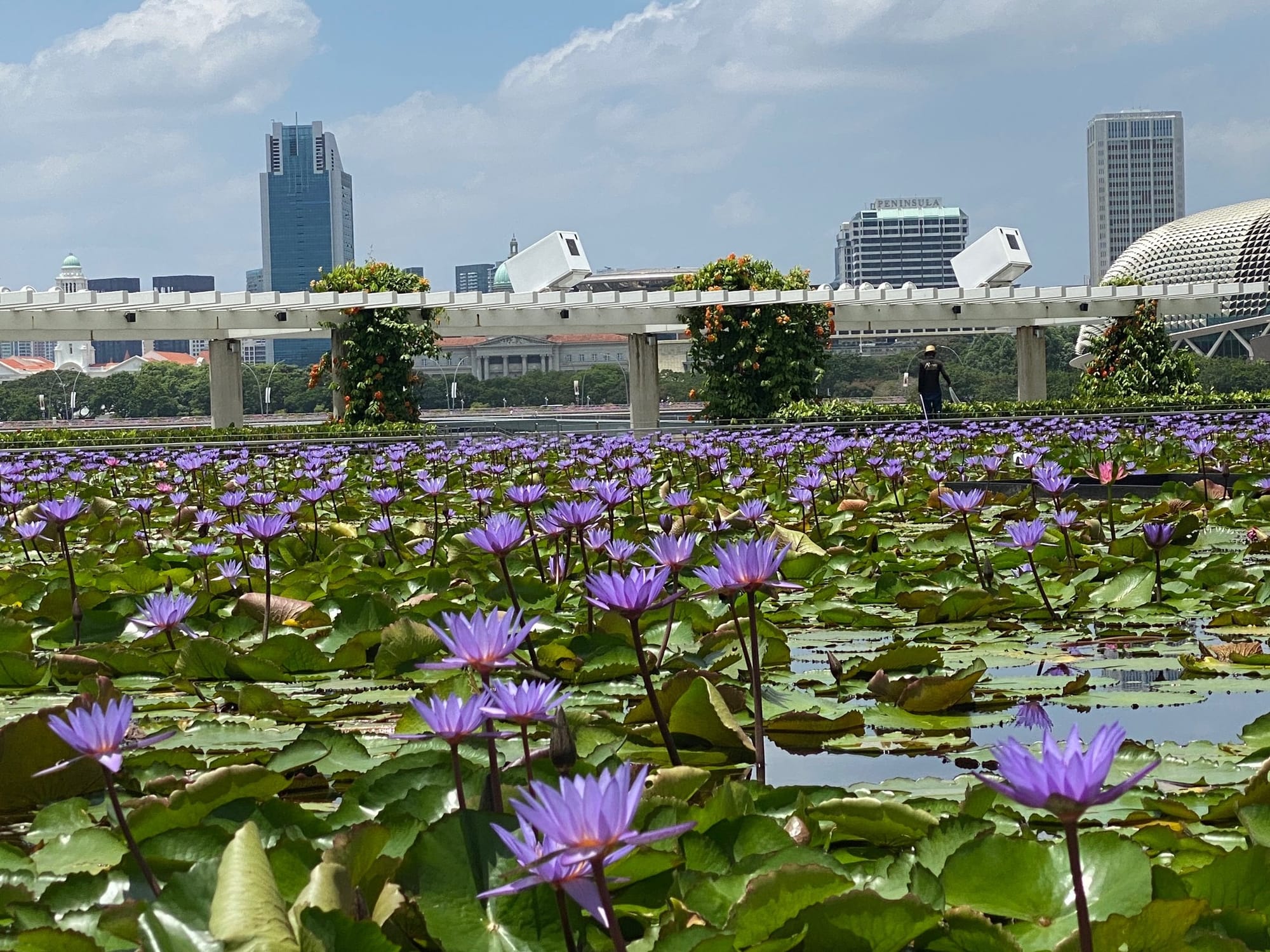 Vor dem Shoppingcenter "Marina Bay Sands"