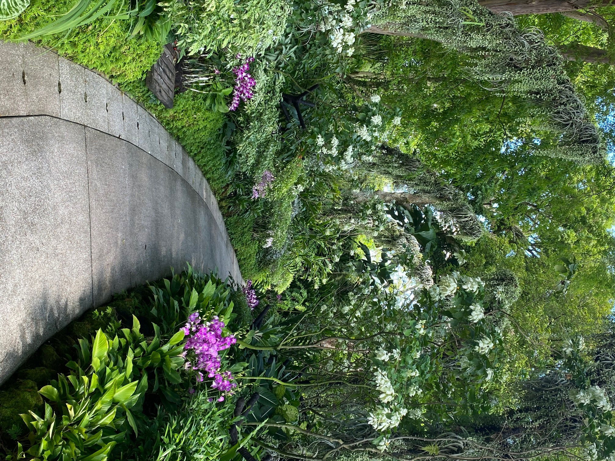 im botanischen Garten
