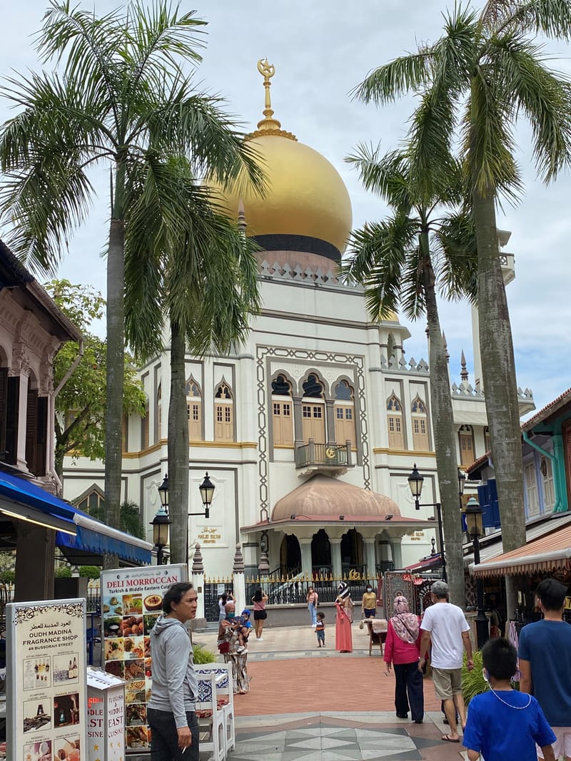 zu Fuss von Little India bis zum Central Business District (CBD)