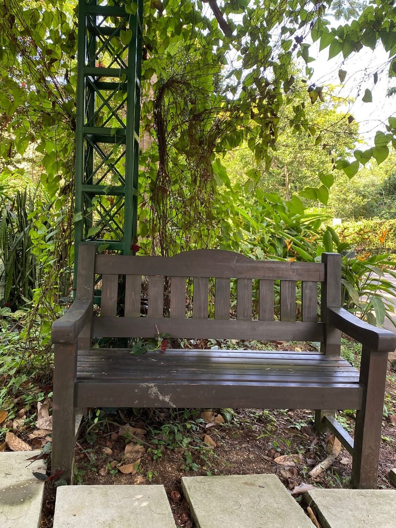 Fahrradtour quer Singapore