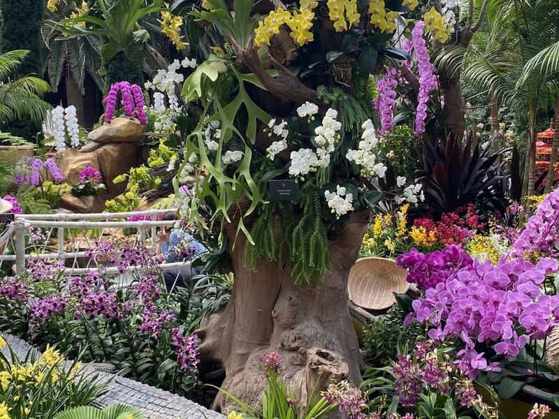 Flower Dome im Gardens by the Bay