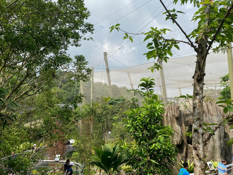 Bird's Paradise Park