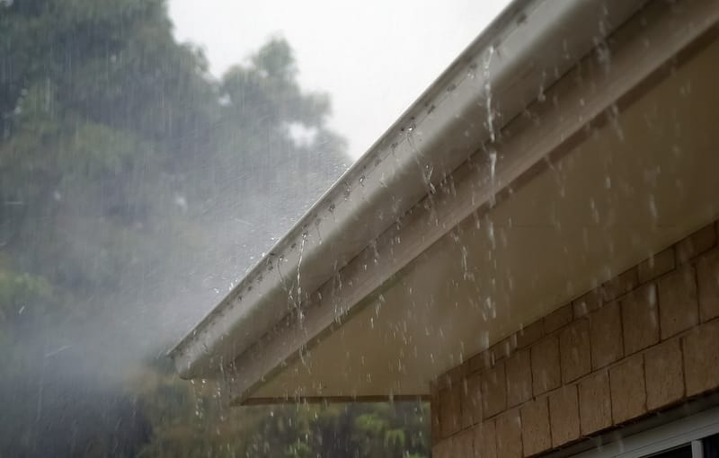 Gutter cleaning