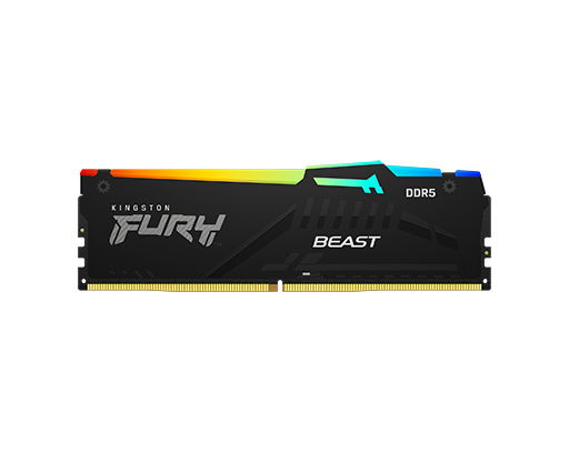 KingSton Fury Beast RGB Single 8GB DDR5 5600 Desktop Memory Single Module