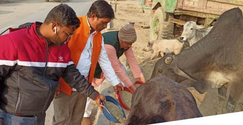 गोसंपदा संरक्षण शोध संस्थान व बागवान समाज सेवा समिति ने समाजसेवा का क्या कार्य किया