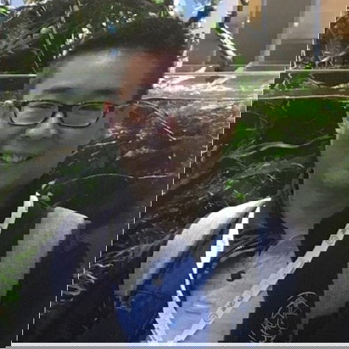 PhD 2022S: Zihao Wang