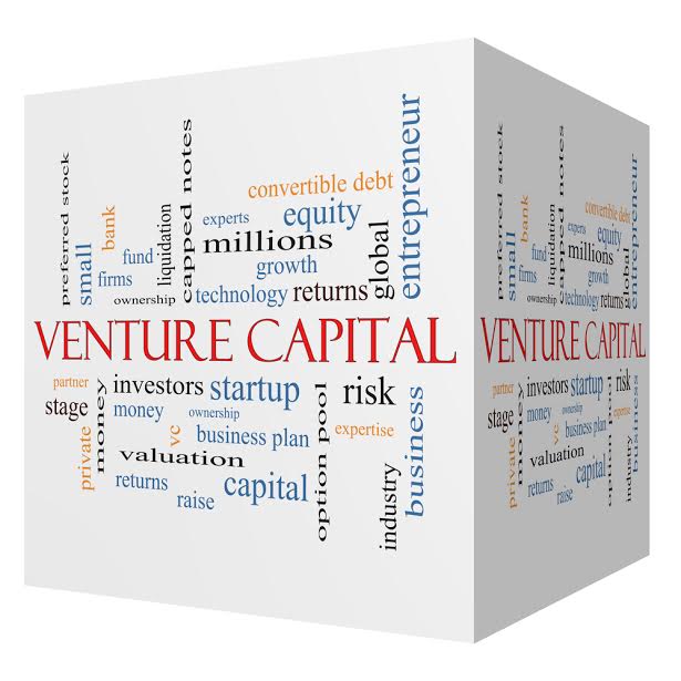 Fondos de capital de riesgo (Venture Capital Fund)