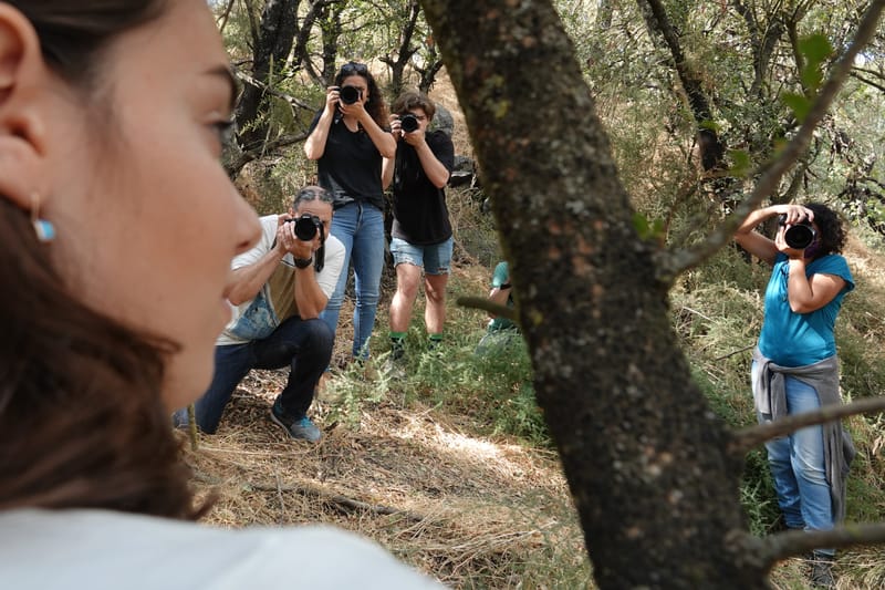 סדנאות צילום בשטח