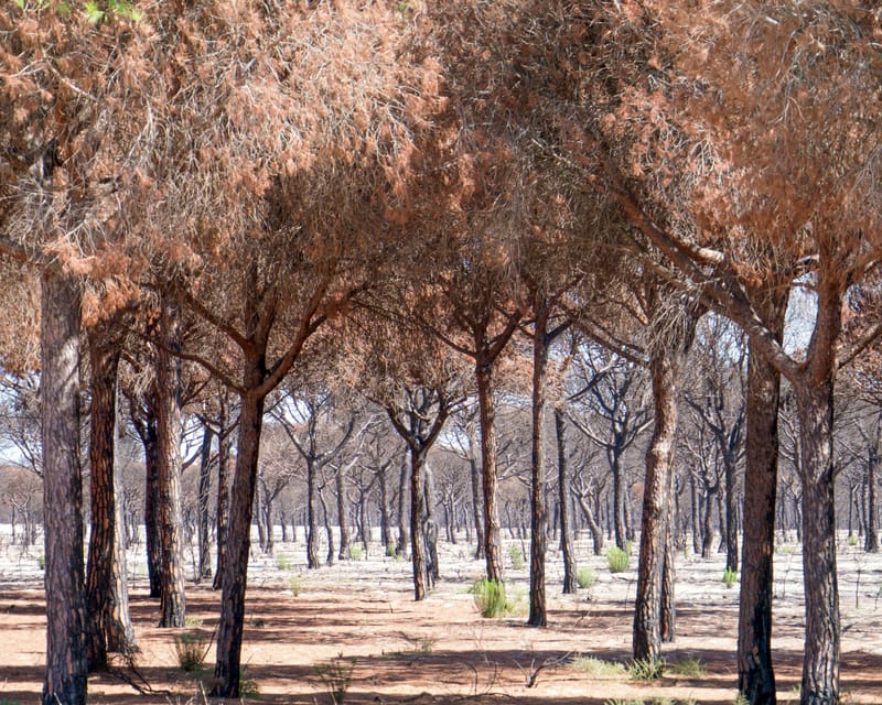 Interesting photos from places we have visited.