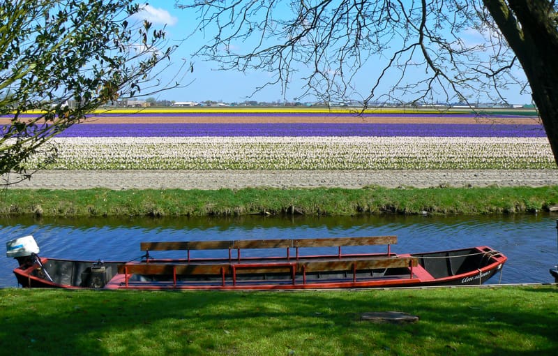 Interesting photos from places we have visited.