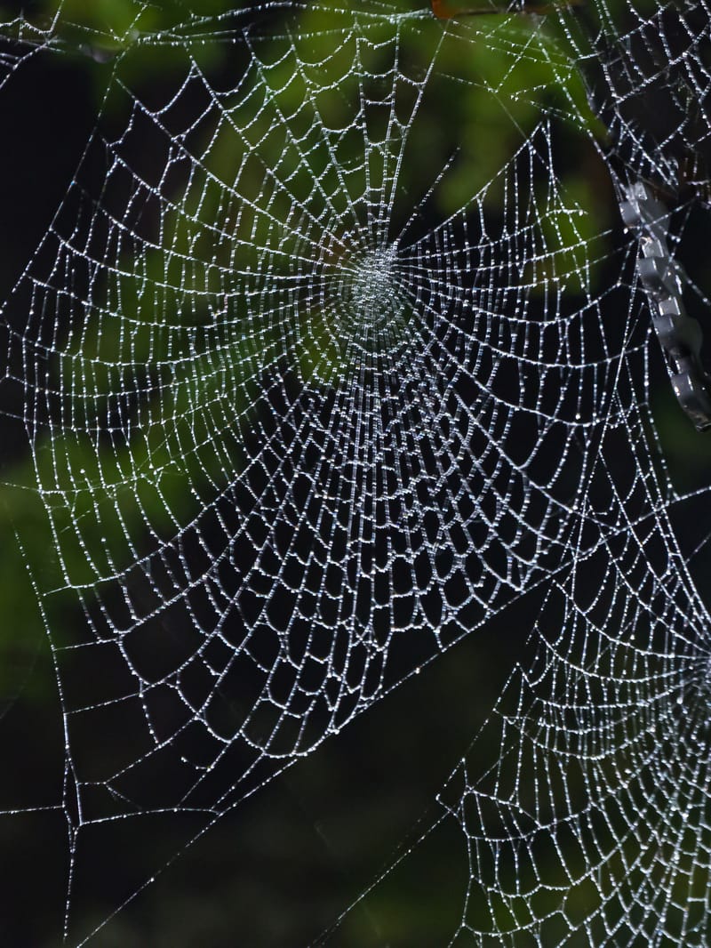 Photos shot a little differently