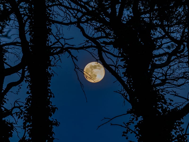 Photos shot a little differently