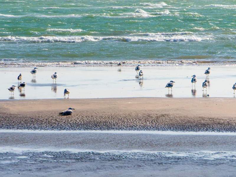 Interesting photos from places we have visited.