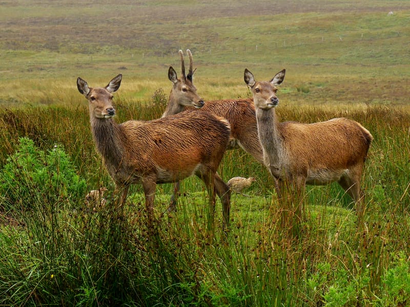 Interesting photos from places we have visited.