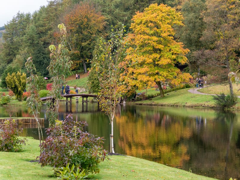 Places close to home