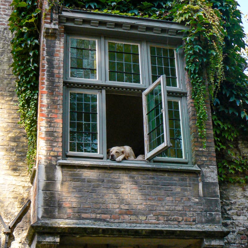 RNR Comrades trip to Flanders 2018