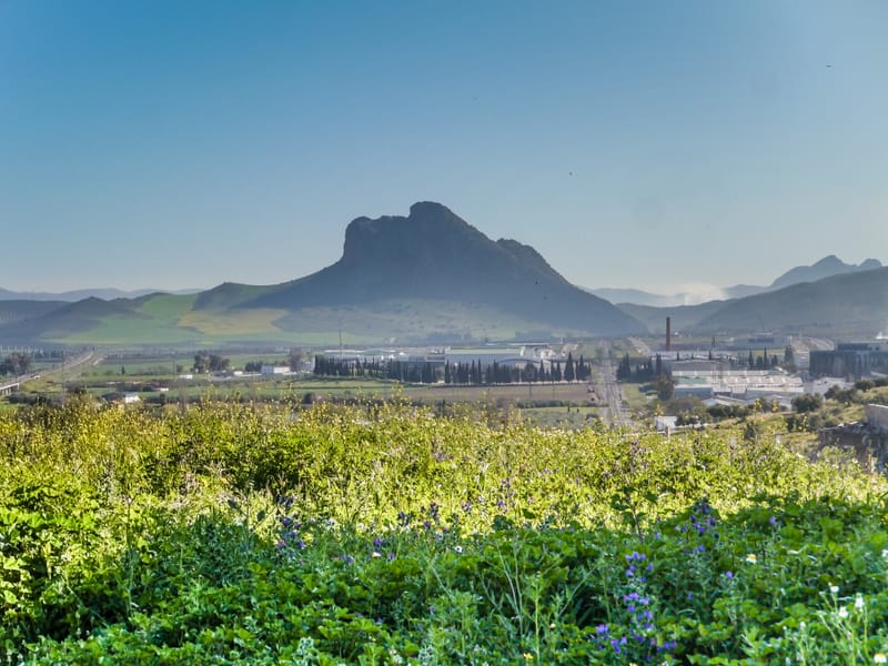 Photos from various visits