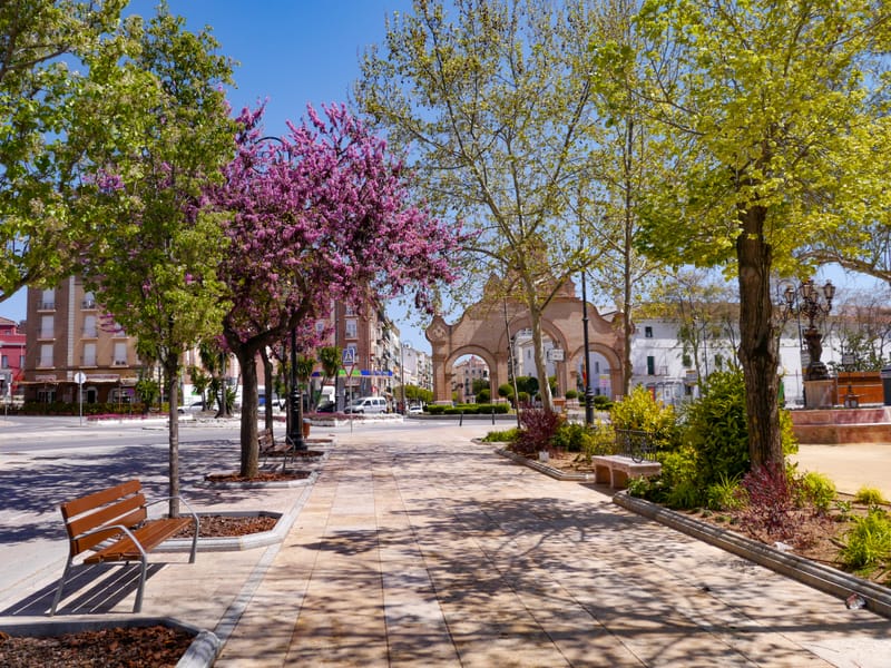 Photos from various visits