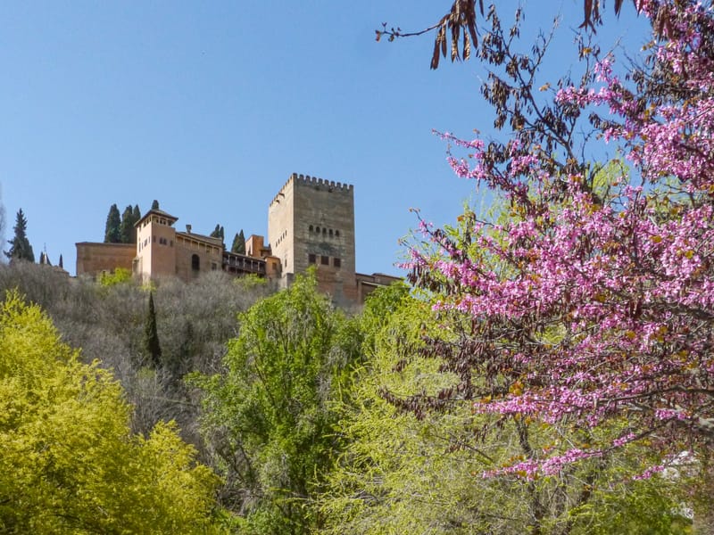 Photos from various visits