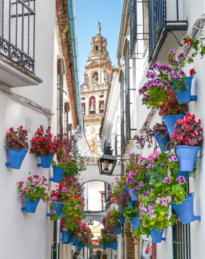 Photos from various visits