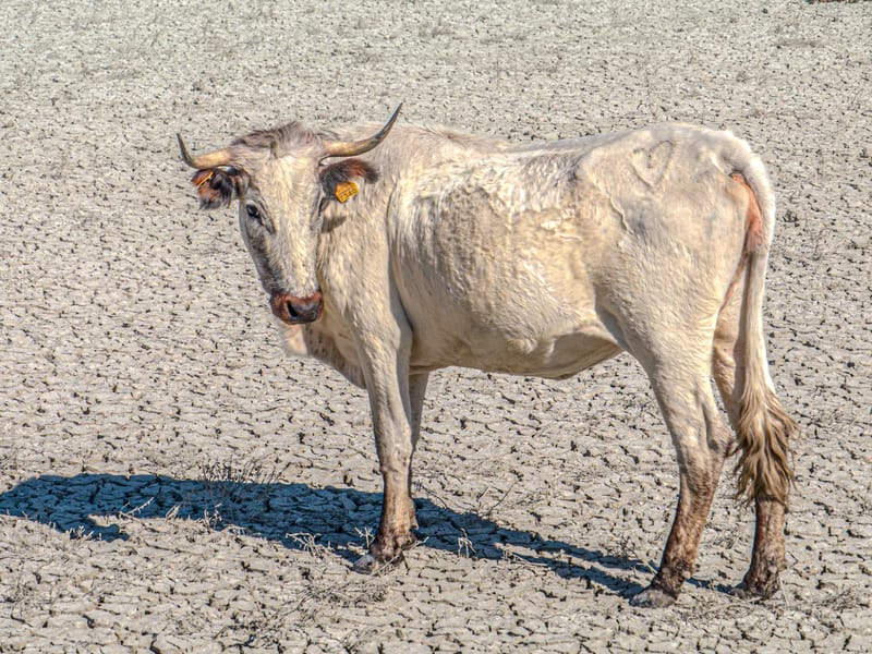 Interesting photos from places we have visited.