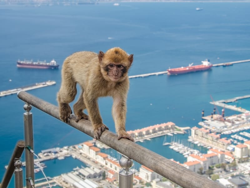 Photos from various visits