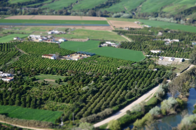 Photos from various visits