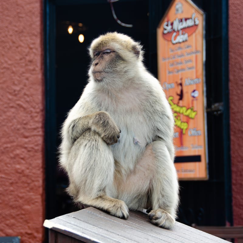 Interesting photos from places we have visited.