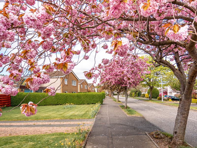 Places close to home